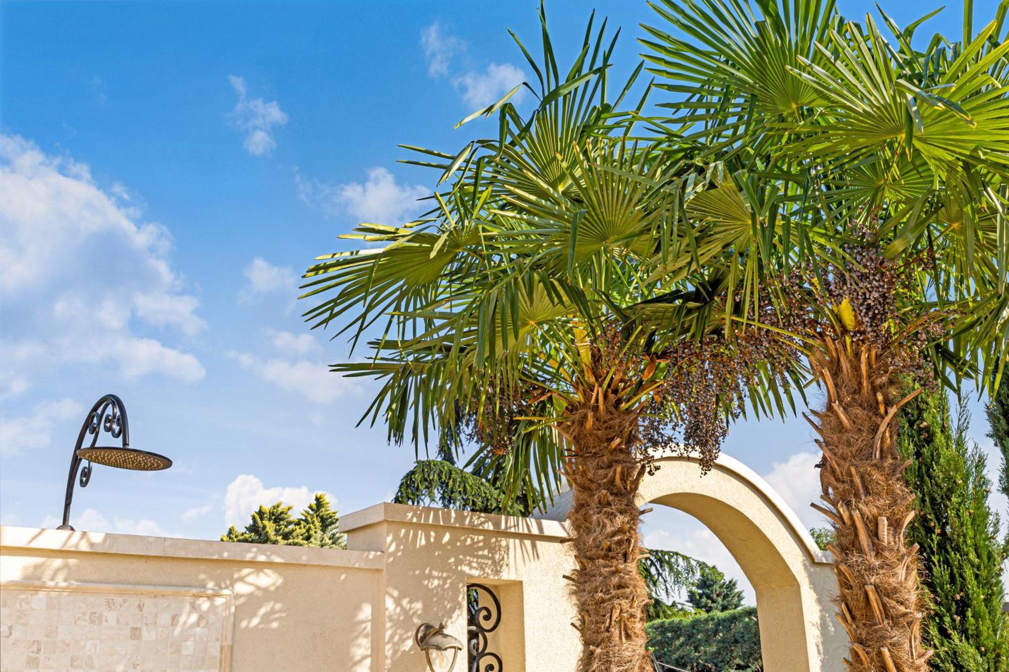 Sika Palladium Garden & Spa Central Apartment アラド エクステリア 写真