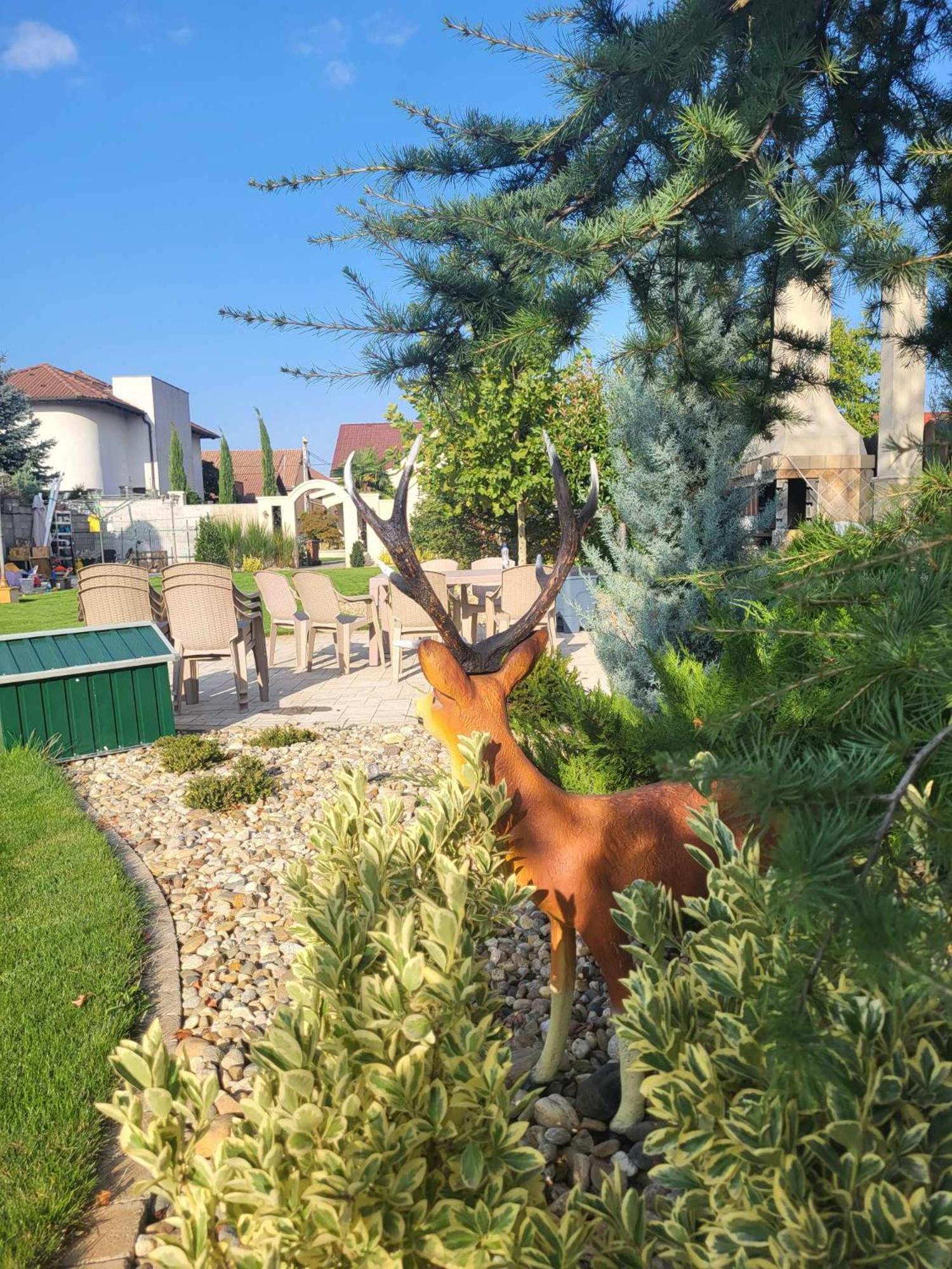 Sika Palladium Garden & Spa Central Apartment アラド エクステリア 写真